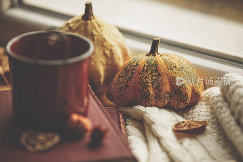 特写的黄色装饰南瓜与一杯茶