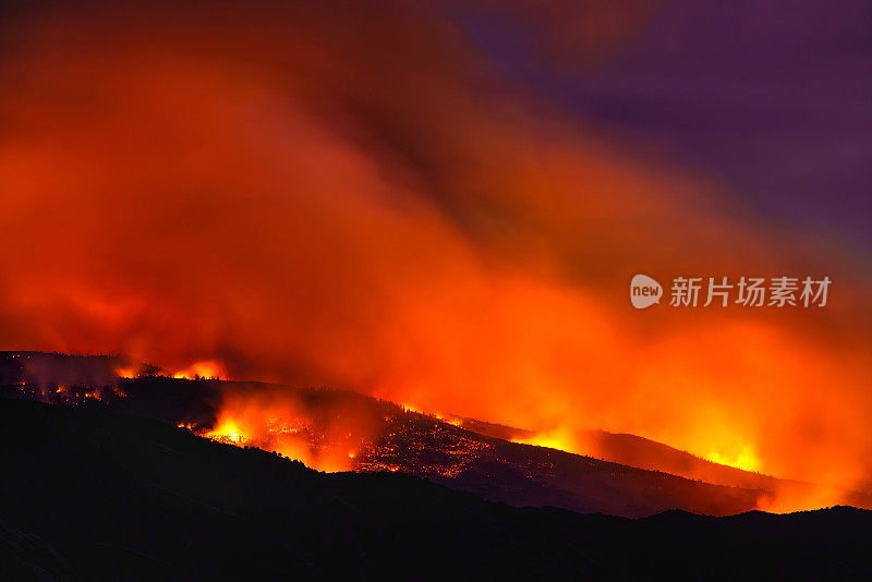 森林大火在夜间肆虐