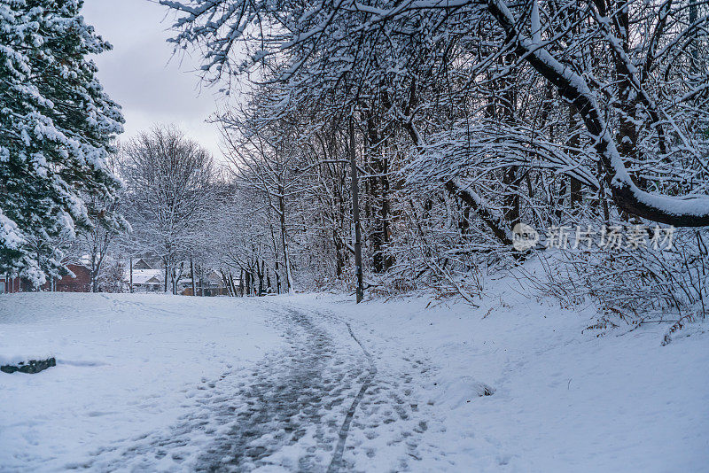 汉密尔顿，安大略-雪覆盖的步道通过三叶草公园