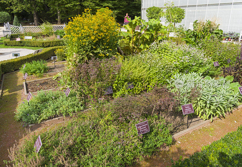 植物园中装有药用植物的花坛。