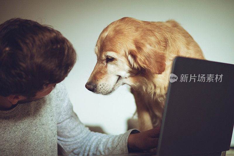 一个人在家里用笔记本电脑工作，他的宠物狗就坐在他旁边的椅子上