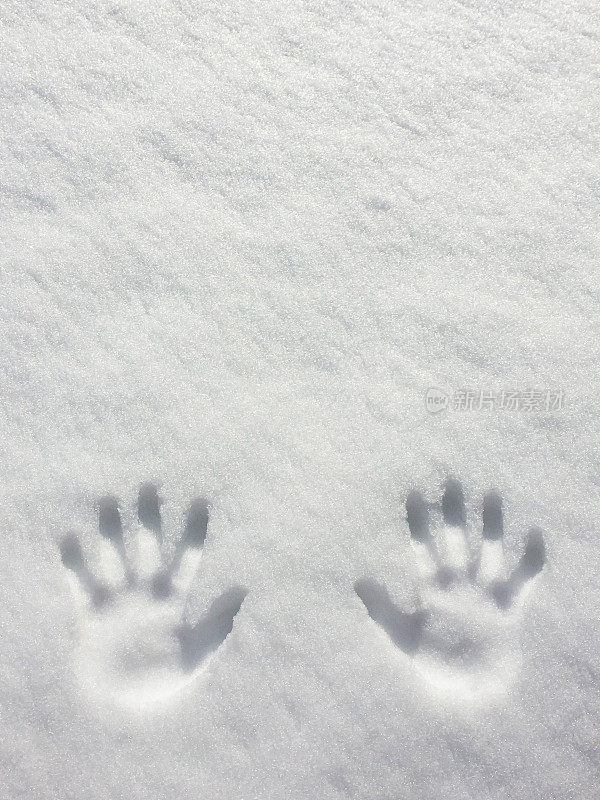 雪地里有手印