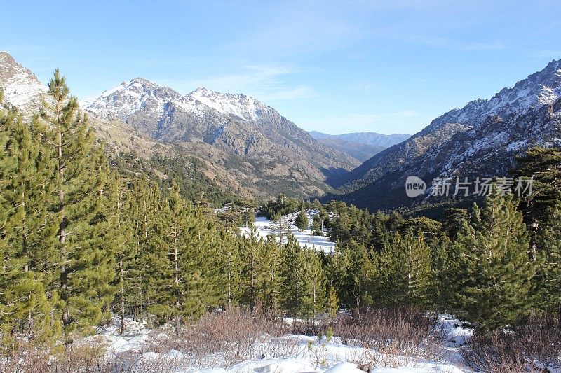 科西嘉阿斯库山谷的冬季场景