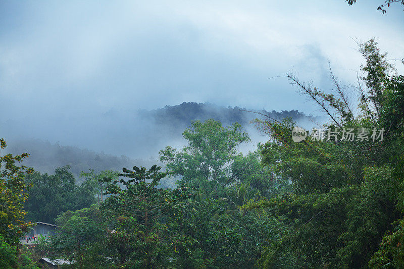 缅甸和泰国边境地区热带雨林上空的晨雾