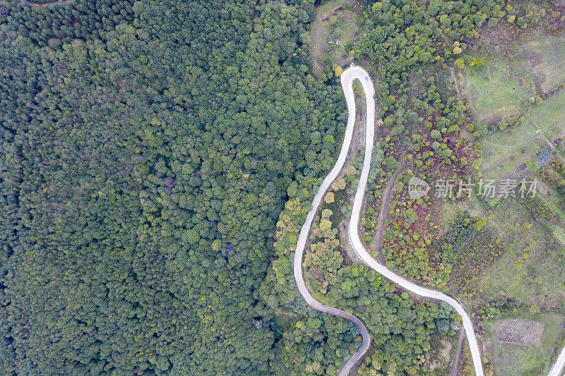 蜿蜒的道路。穿过森林的田园诗般的蜿蜒道路。