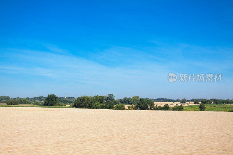 威斯法利亚的夏日田野景观