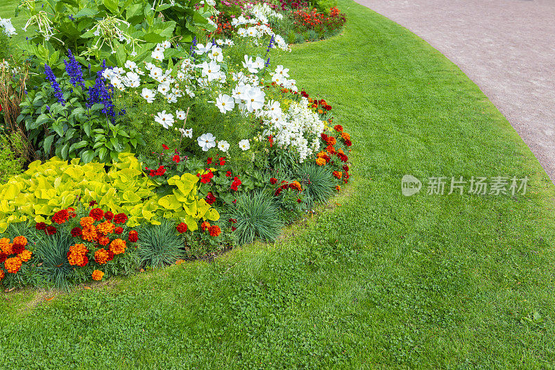 花圃五彩缤纷的