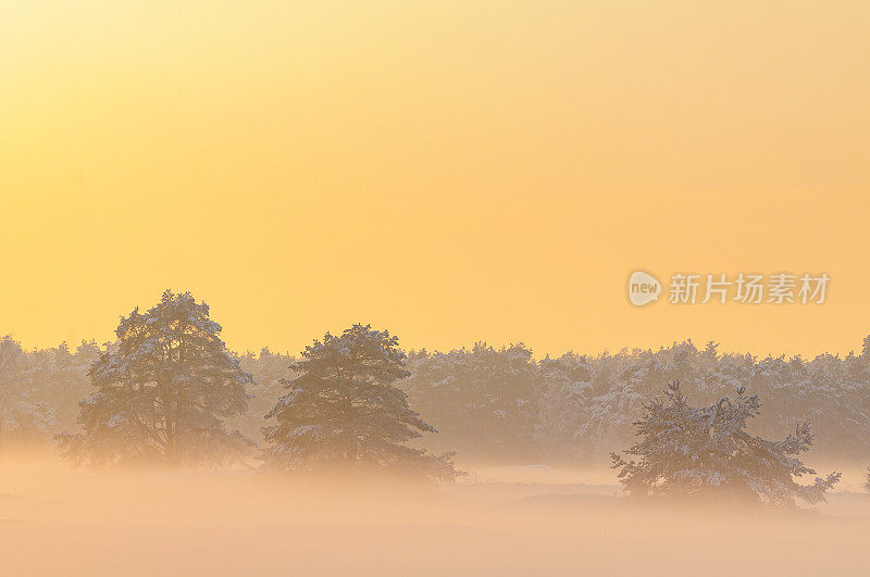 在一个漂移的沙丘地区的冬季雪景