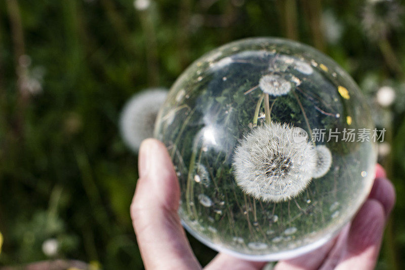 手里握着一个充满自然的水晶球。表现出内在和外在的自然，记得爱护自然。准备演示材料。