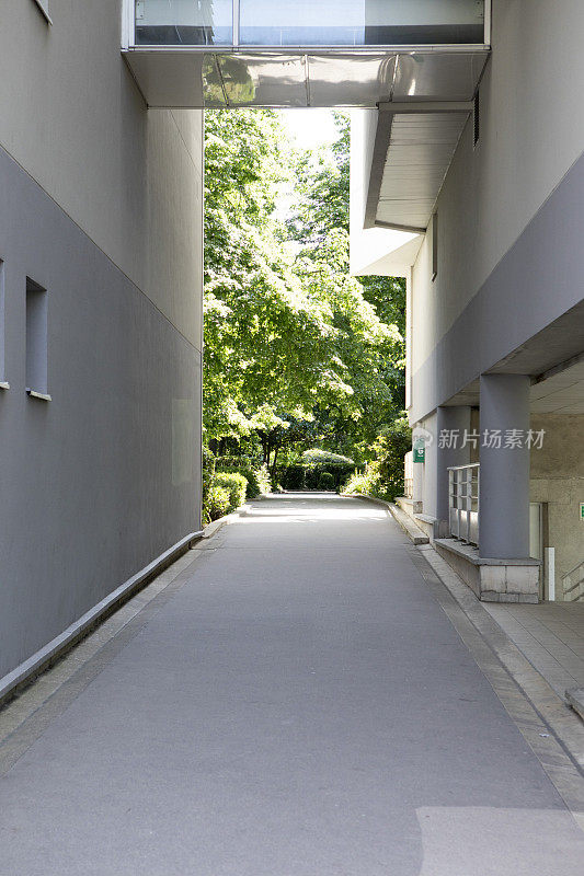 滨海大道(Promenade)上现代建筑之间的绿叶Plantée