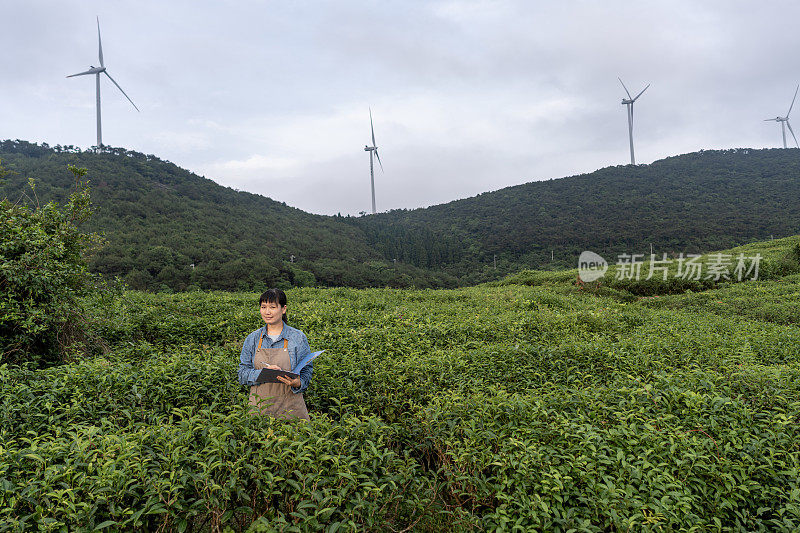 一位亚洲女农民在种植园工作