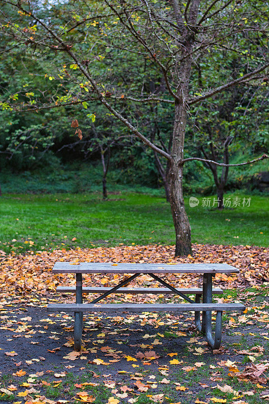 秋天的早晨，空的野餐桌