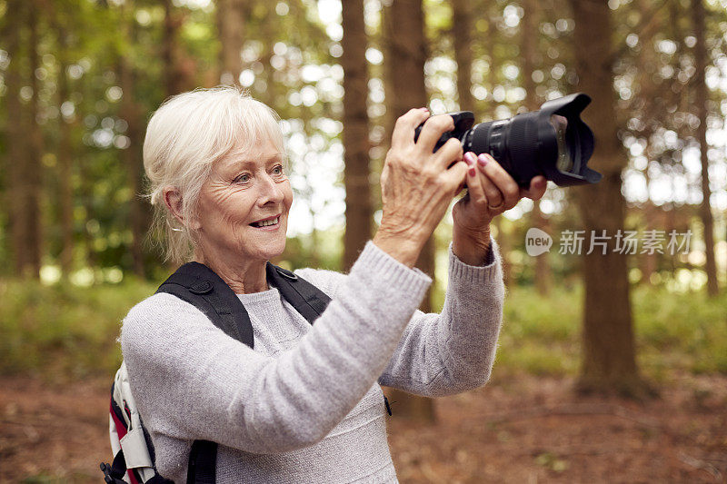 退休的老妇人徒步在林地乡村用单反相机拍照