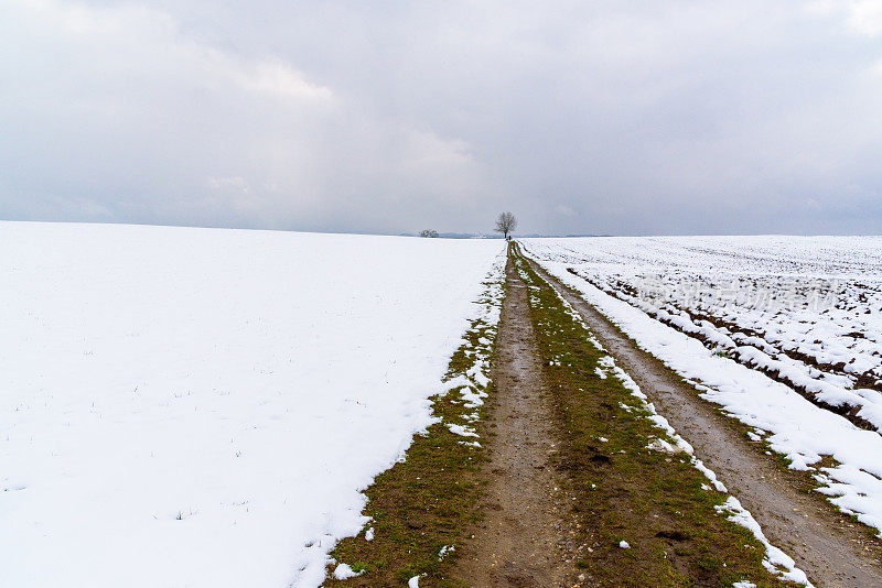 在田野和雪原之间的土路