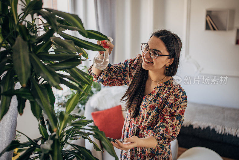 给室内植物浇水的妇女