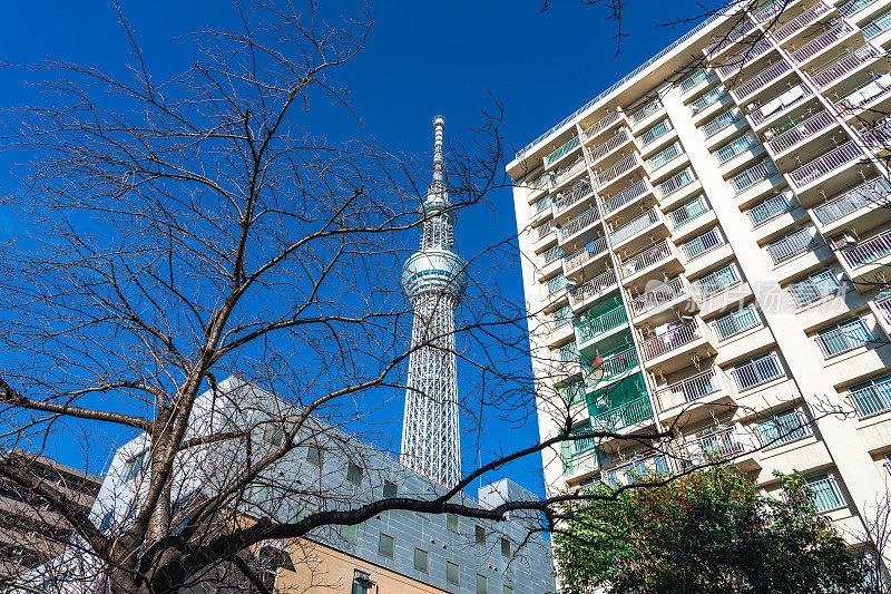 在日本建造的公寓大楼东京天空树