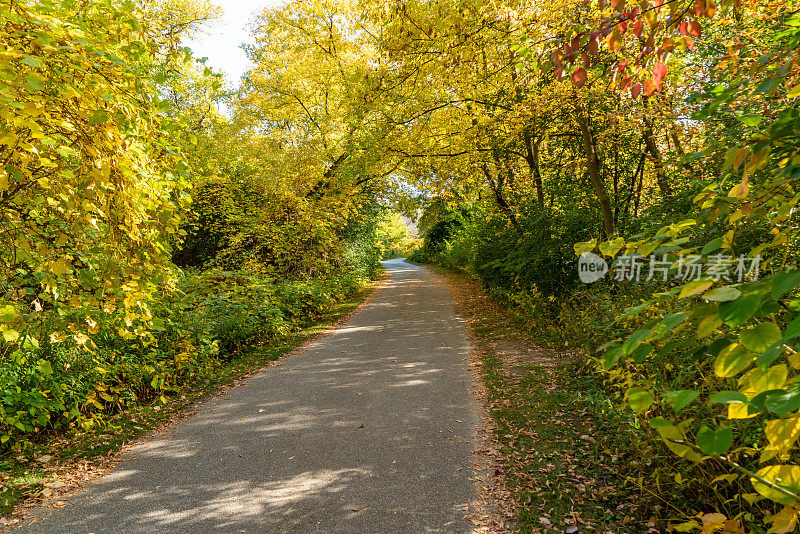 加拿大多伦多，下顿河步道的风景