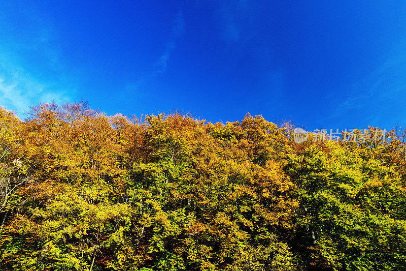 巴尔多山的秋色