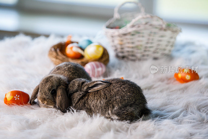 兔子和复活节装饰