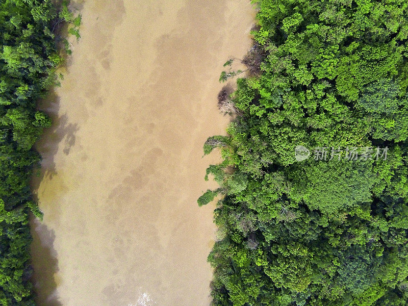 雨林河流