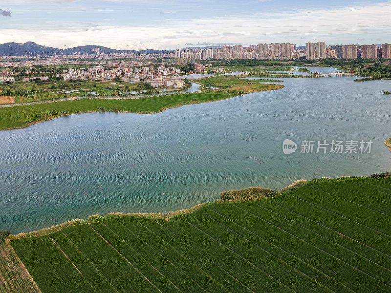 河流环绕农田，环绕都市农业