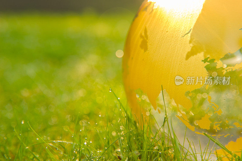 地球日。透明的玻璃球在绿草在春天阳光明媚的花园。保护自然生态。生态的概念。