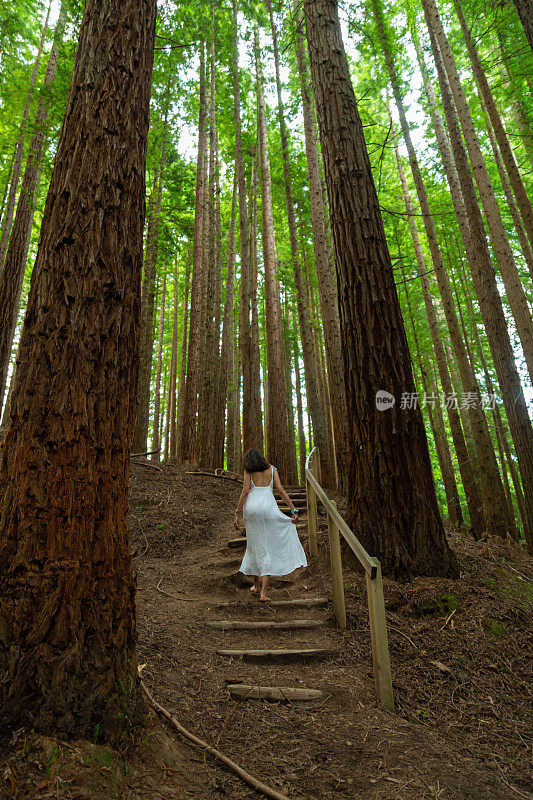 一个穿白裙子的年轻女人走在森林里