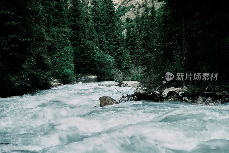 峡谷森林中的大山河