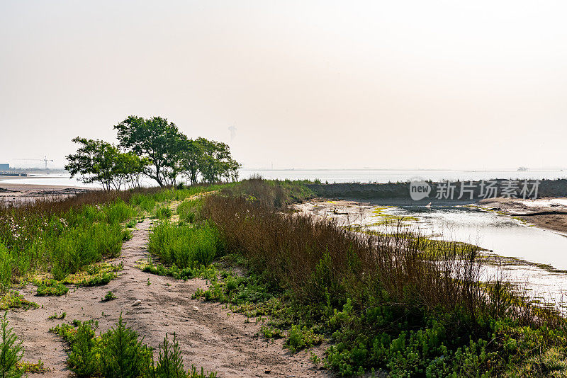 沿海风景