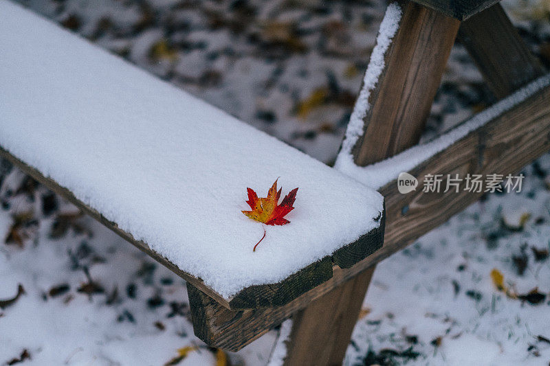 红色的秋叶落在刚刚落下的雪上，空无一人的公园长凳上