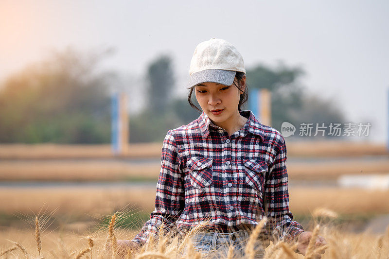 农民拿着药片和笔在农场里用现代技术检测大麦的质量，技术理念