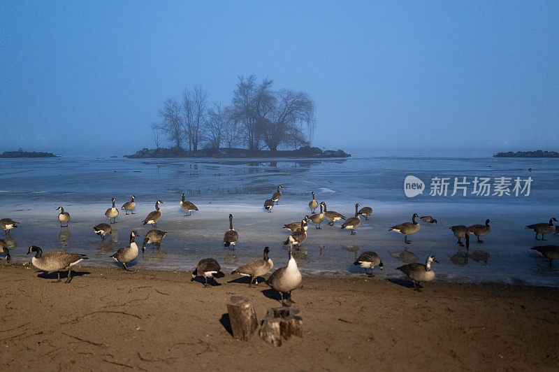 雾蒙蒙的冬夜中的底特律河