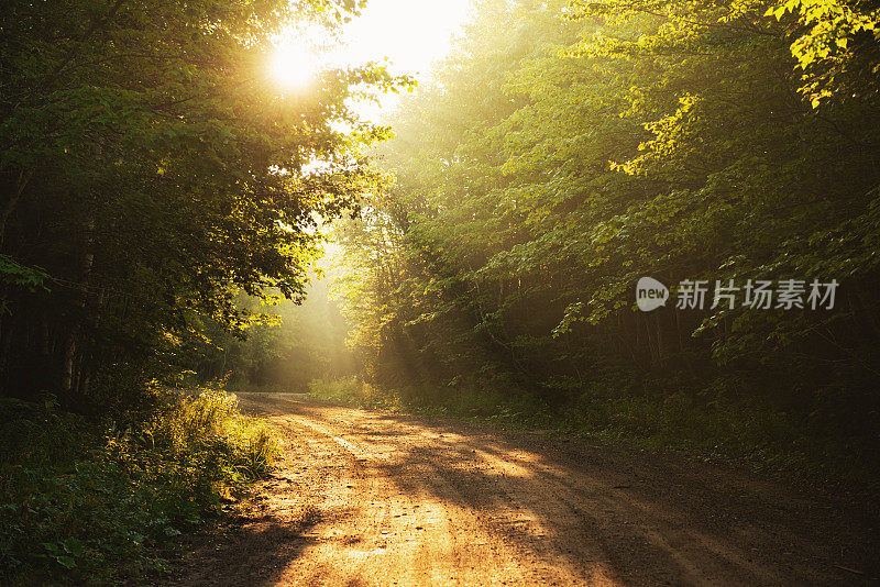 雾蒙蒙的土路日出