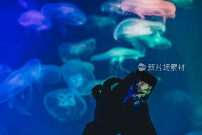 手机拍照，人们在水族馆里拍水母