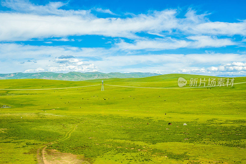 那曲羌塘高原牧场风光，中国西藏