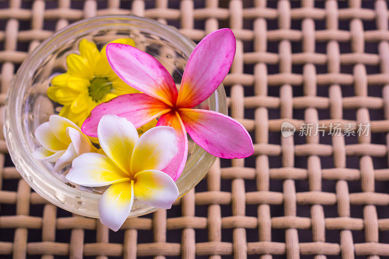 热带花鸡蛋花浮在一碗水里。水疗，健康，夏季背景