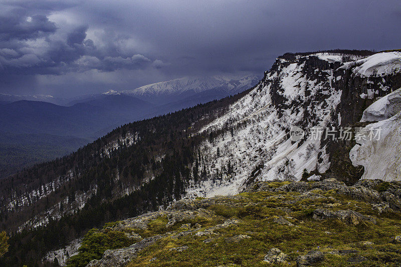 雪山高原。美丽的野生动物。从拉戈-纳基保护区的蛇形山脉山顶上观看，西高加索。