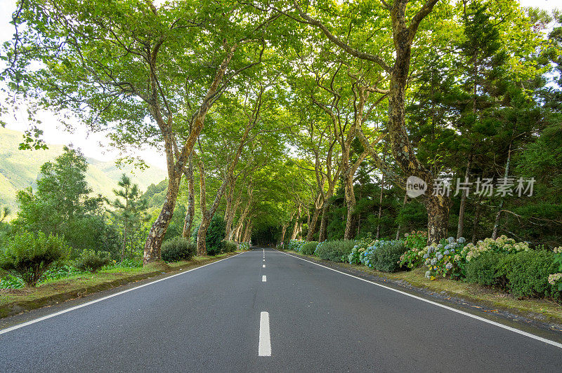 亚速尔群岛乡村公路