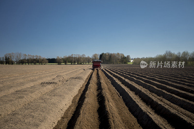拖拉机在春天播种马铃薯