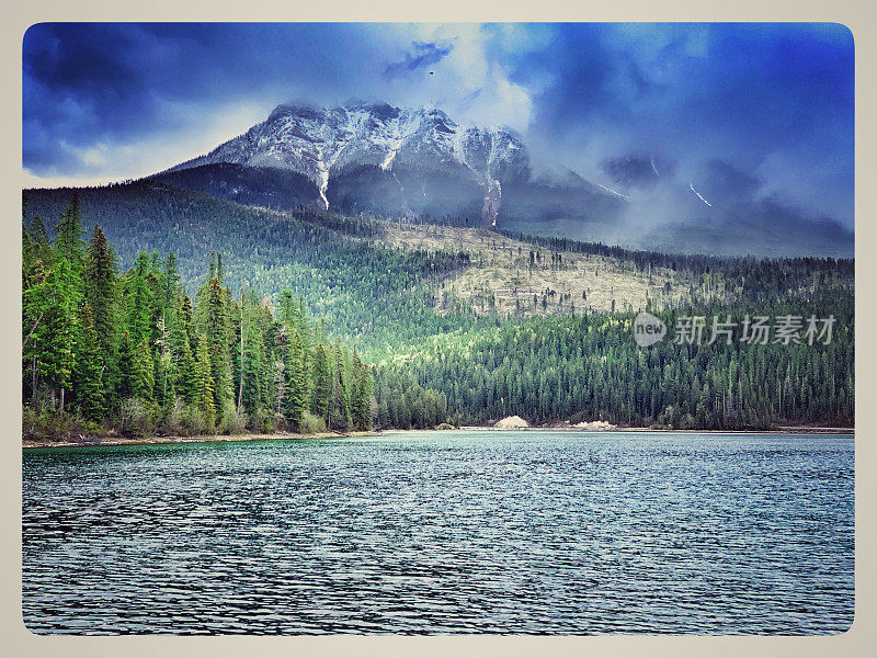 加拿大BC省白天鹅湖省级公园的白天鹅湖