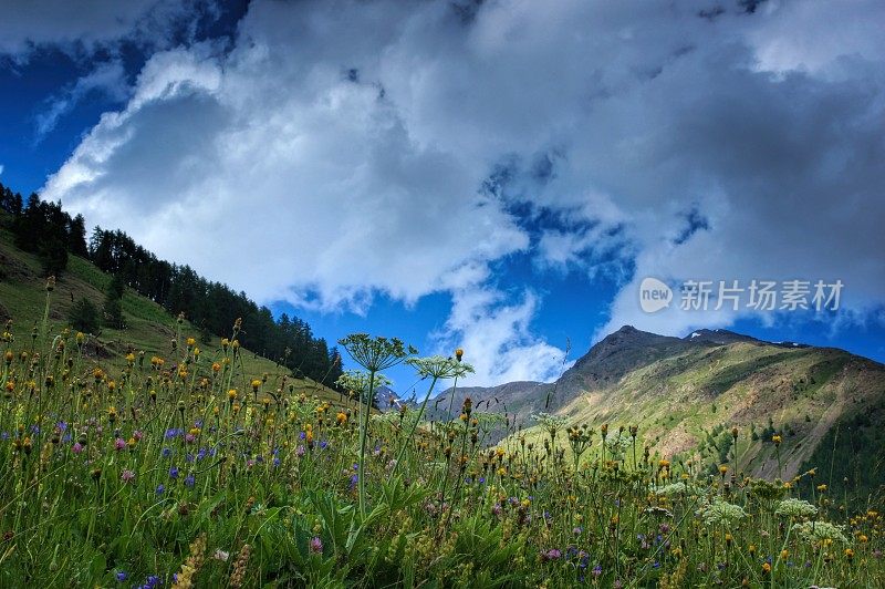 Vernagt湖边的群山