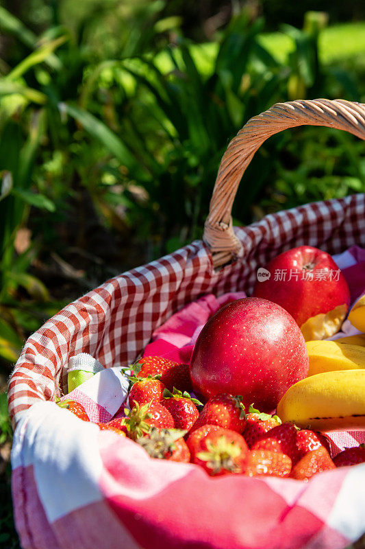 野餐篮里的有机水果