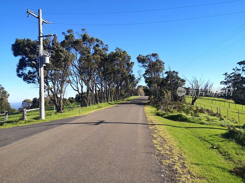 澳大利亚新南威尔士州袋鼠谷公路
