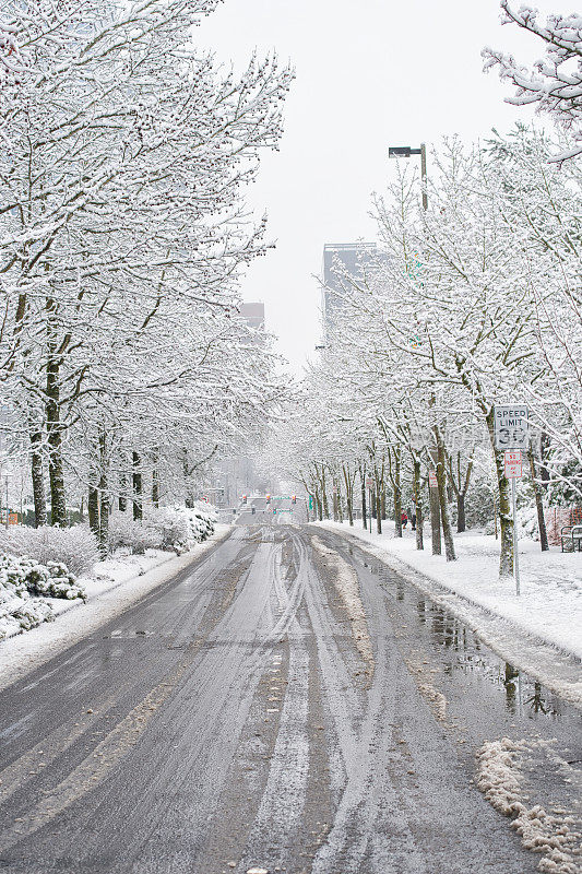 暴风雪日的贝尔维尤市中心