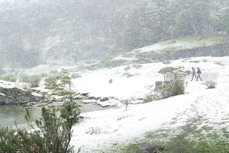 徒步旅行在雪