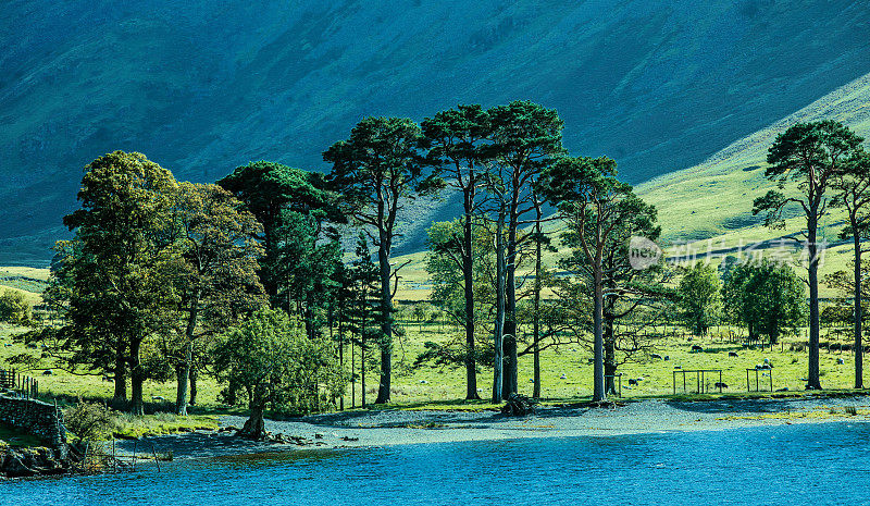 英国乡村的湖景