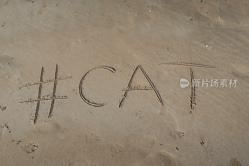 图片的标签标签写在阳光沙滩上的猫字写在沙滩上，Palolem海滩，印度果阿，概念社交媒体照片的手写在金色的沙子与现代标签前缀