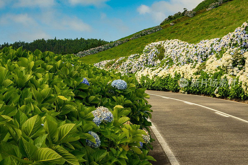 亚速尔群岛乡村公路