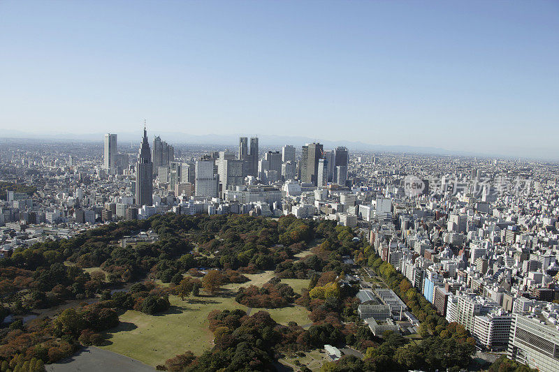新宿鸟瞰图，公园在前面，新宿区，东京都，本州，日本