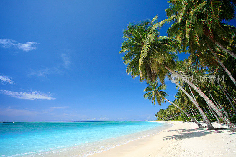 完美的热带岛屿天堂海滩